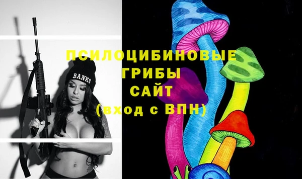 ГАЛЛЮЦИНОГЕННЫЕ ГРИБЫ Алзамай