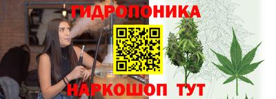 ГАЛЛЮЦИНОГЕННЫЕ ГРИБЫ Чебоксары