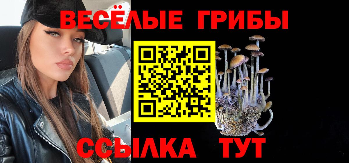 Галлюциногенные грибы ЛСД  Вход с VPN  Белорецк 
