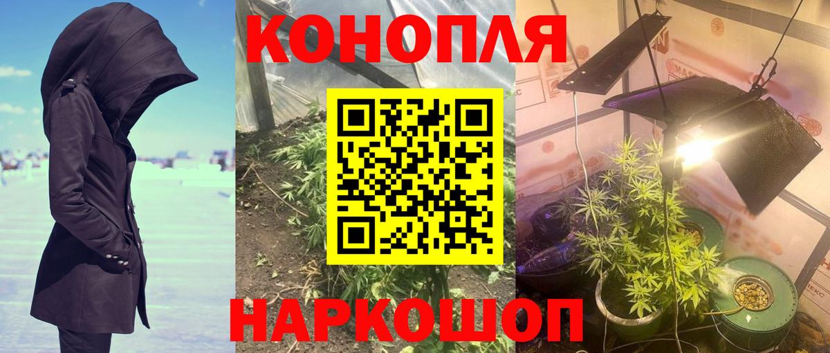 Бошки Шишки планчик Белорецк